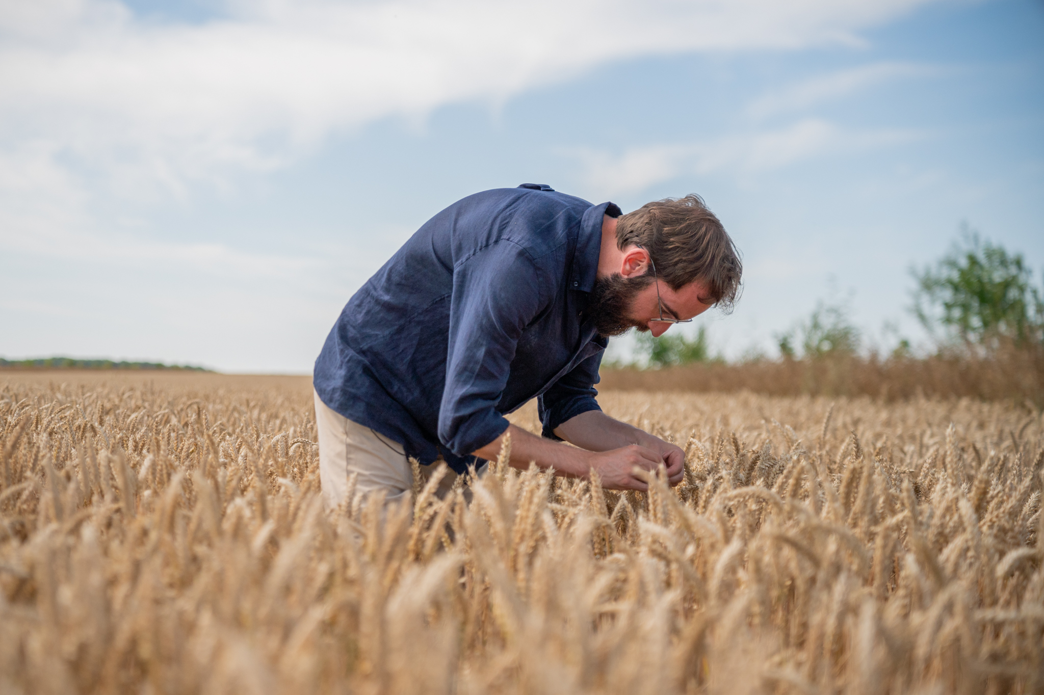 Tournage agence vidéo agricole France dans un champ de blé