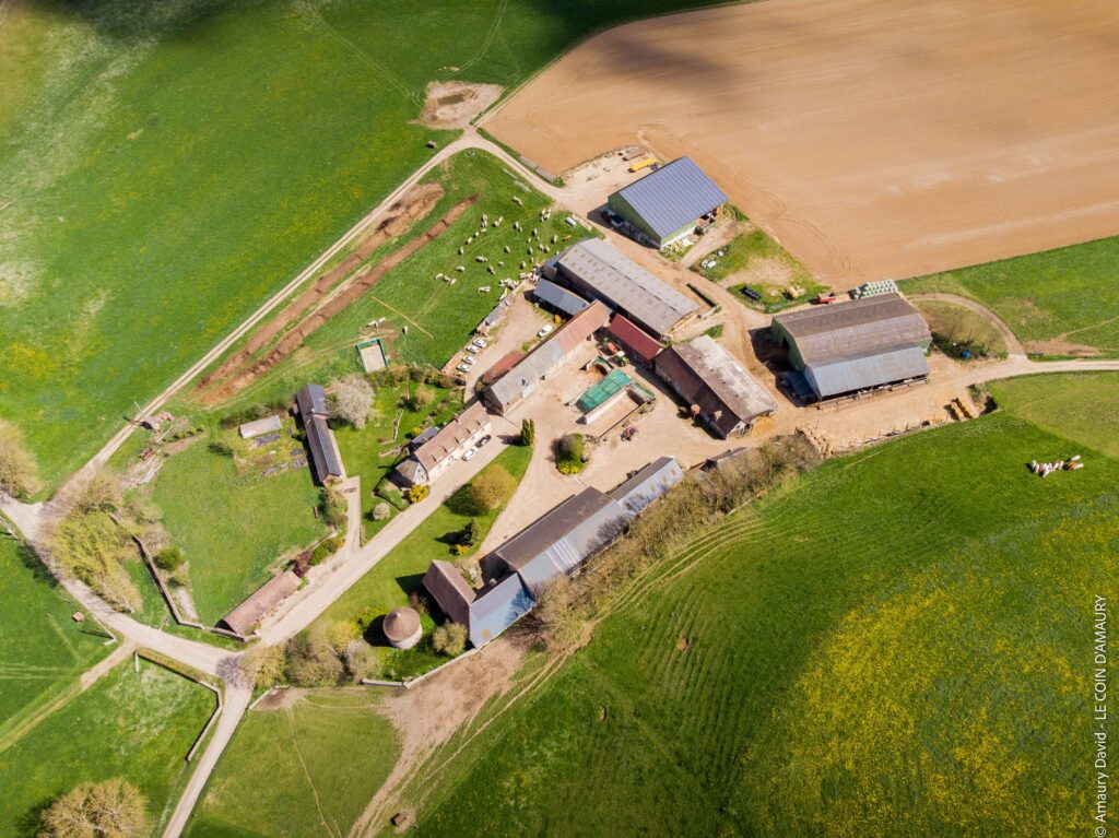 newsletter agricole communication producteur agricole responsable communication coopérative newsletter Le Coin d'Amaury