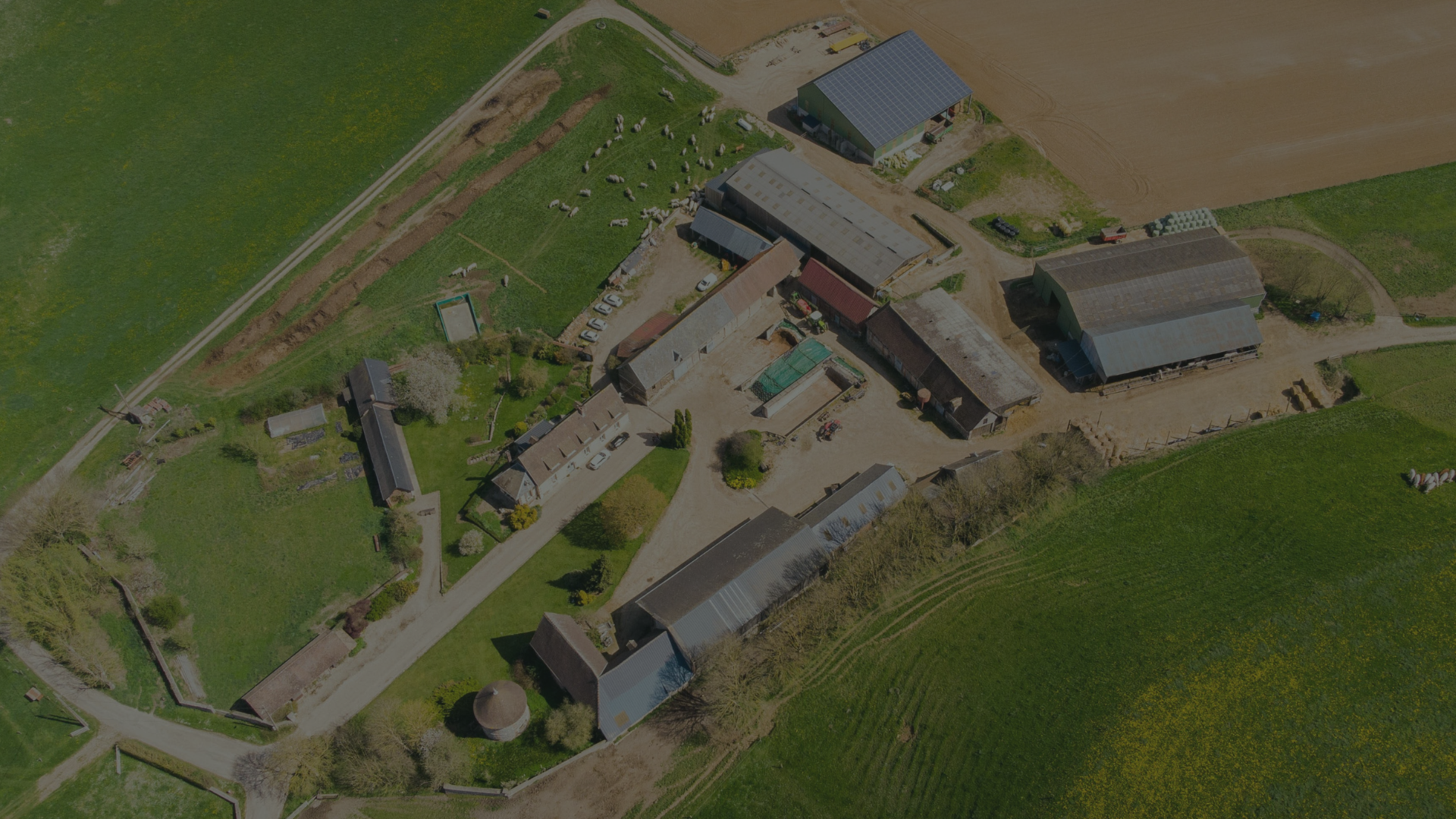 Newsletter communication agricole — Le Coin d'Amaury, tournage en ferme